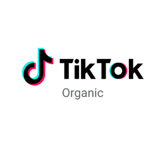Tiktok Organic